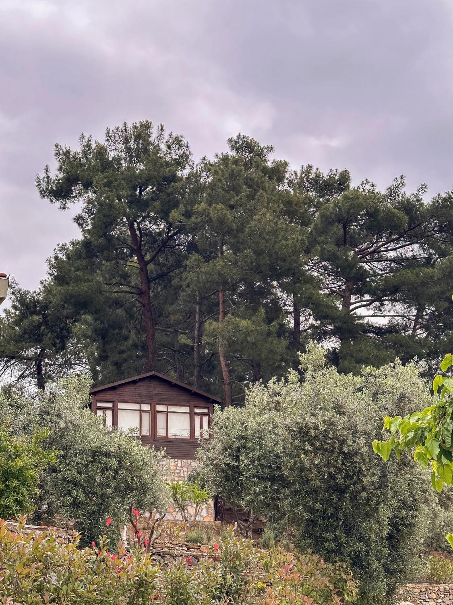 Hotel Ephesus Retreat Izmir Exterior foto